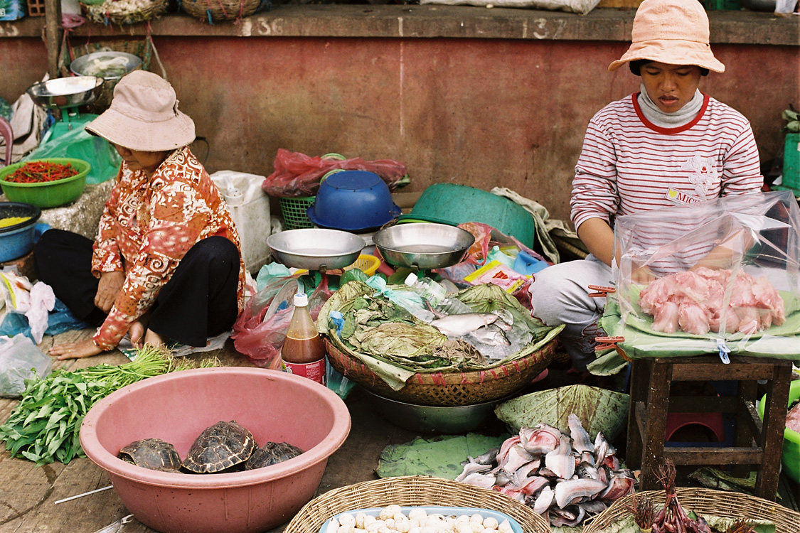 Cambodia, 2010