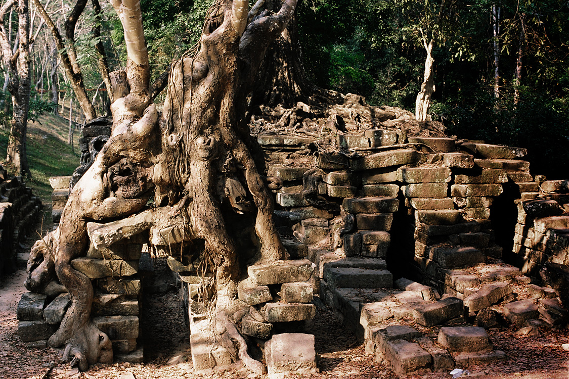 Cambodia, 2010