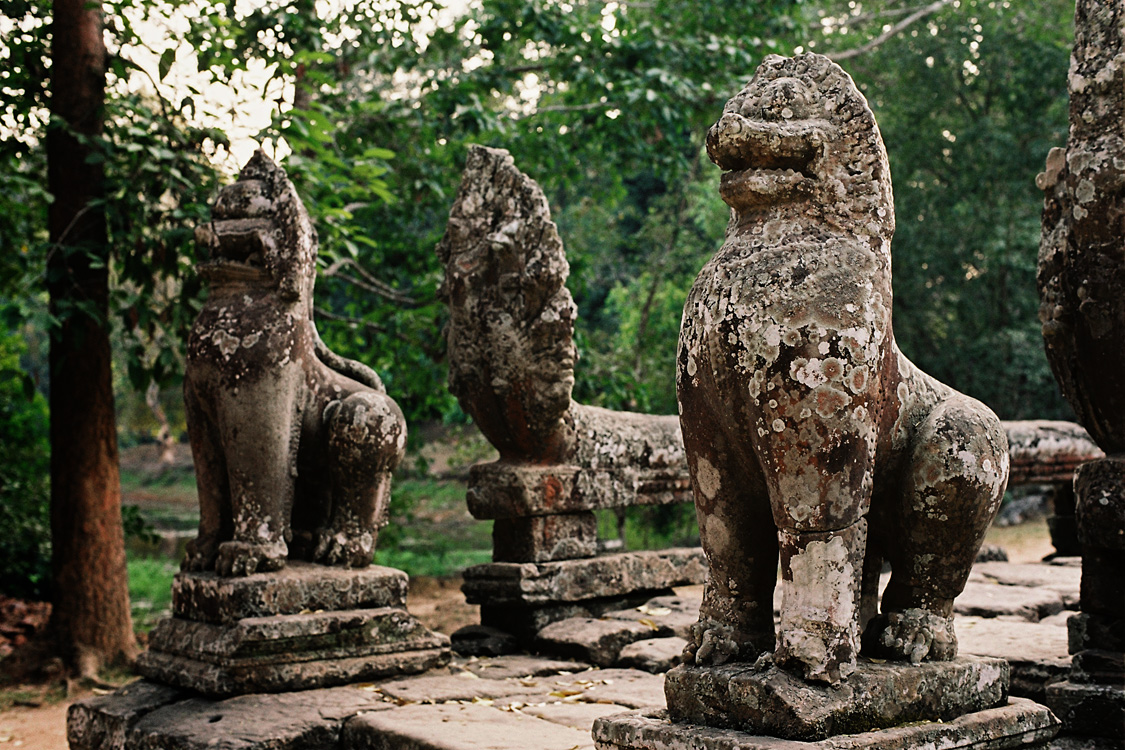 Cambodia, 2010