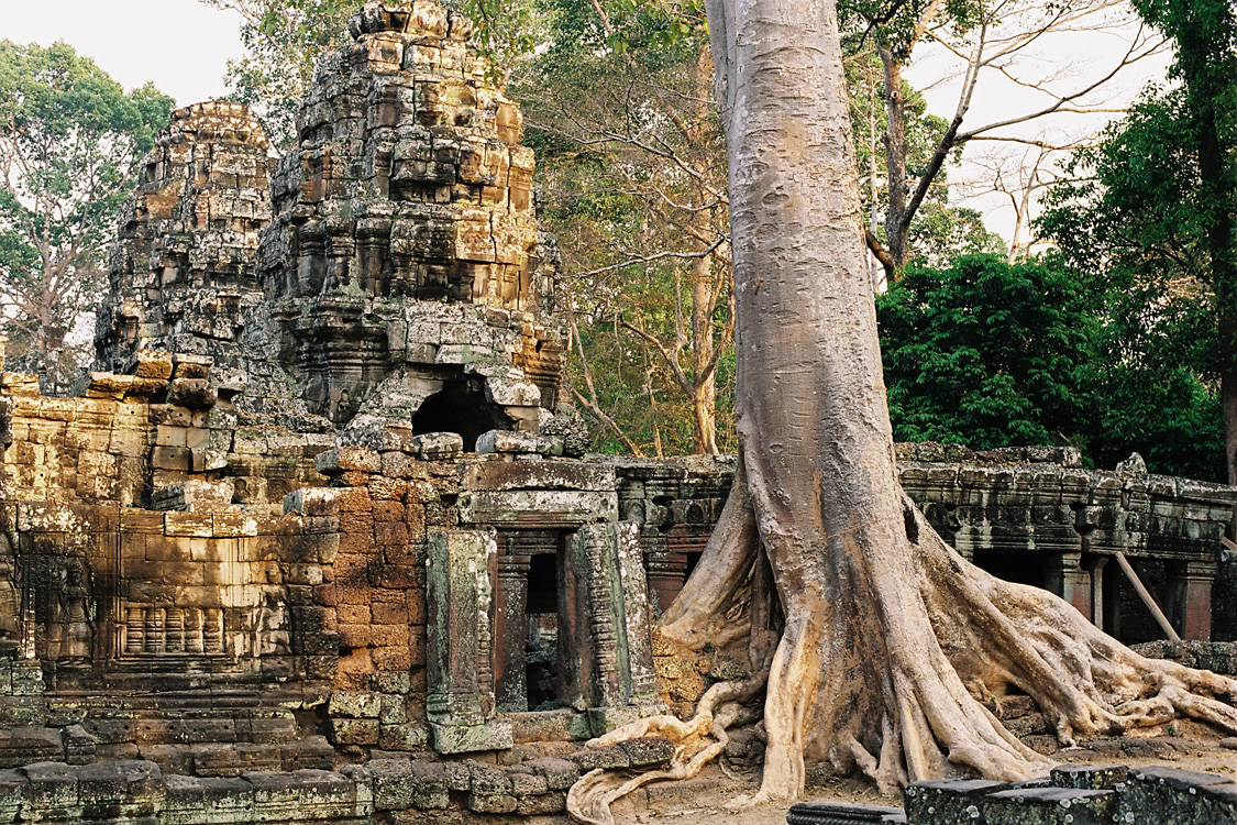 Cambodia, 2010