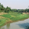 Cambodia, 2010