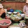 Cambodia, 2010