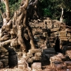Cambodia, 2010