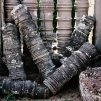 Cambodia, 2010