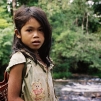 Cambodia, 2010