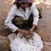 Cambodia, 2010
