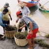 Cambodia, 2010