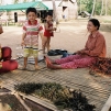 Cambodia, 2010