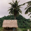 Cambodia, 2010