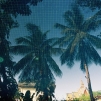 Cambodia, 2010