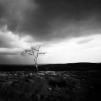Cambodia, 2010
