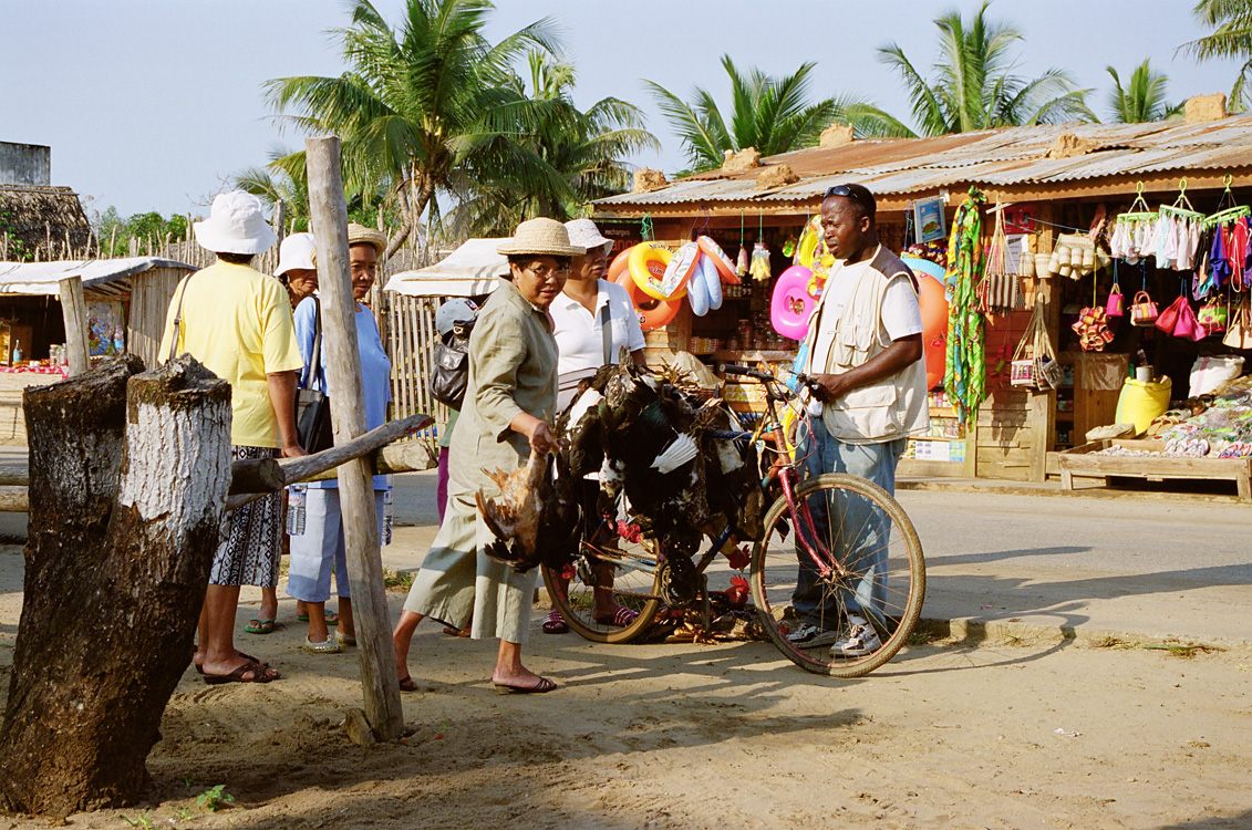 Madagascar, 2010