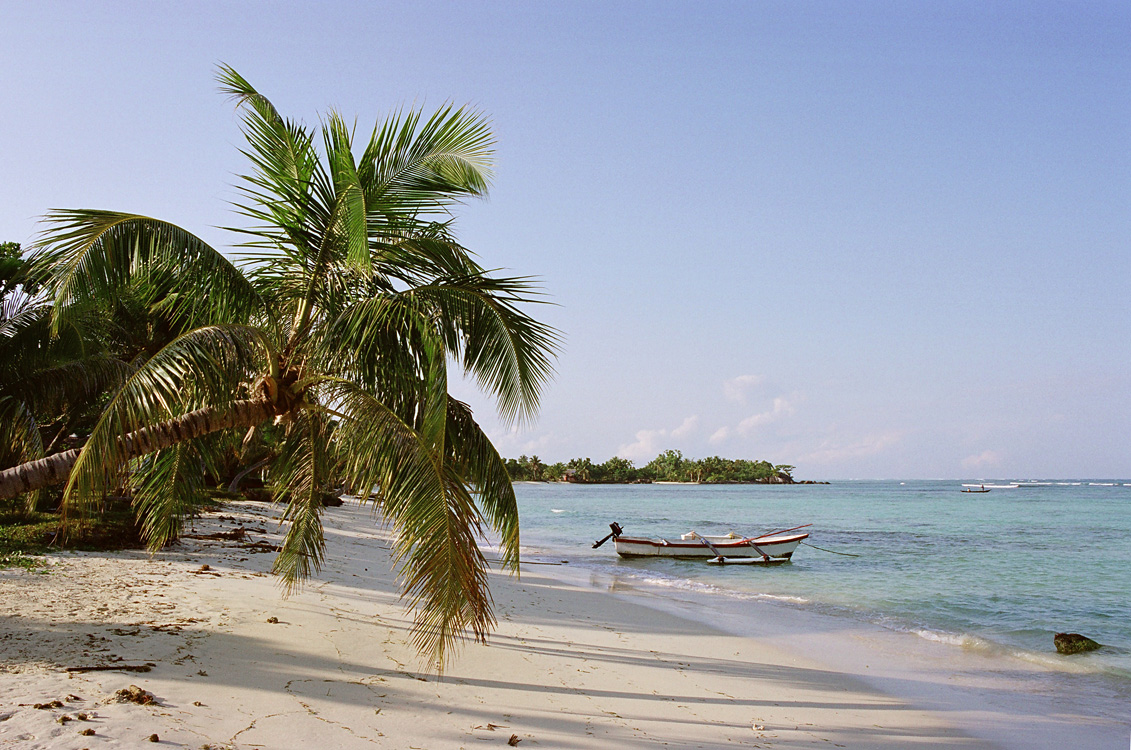 Madagascar, 2010