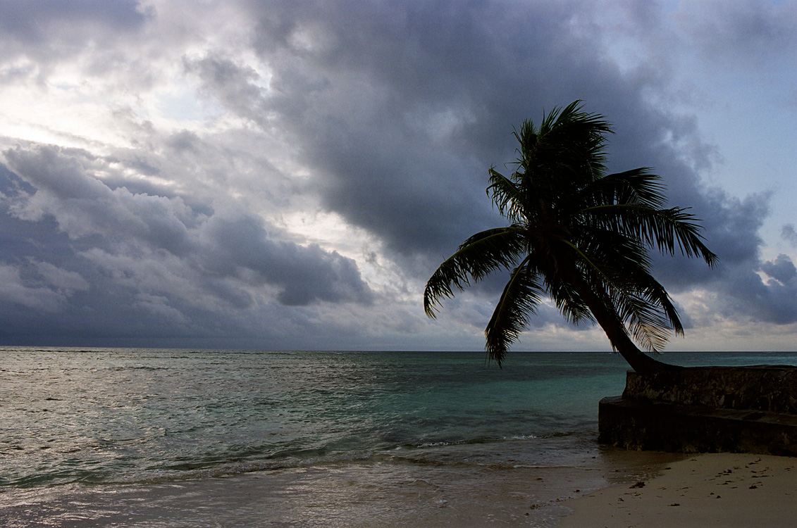 Madagascar, 2010