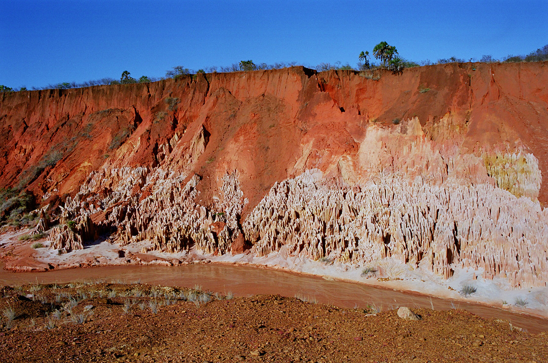 Madagascar, 2010