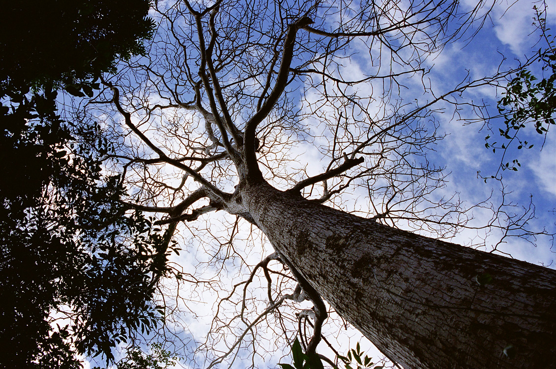 Madagascar, 2010