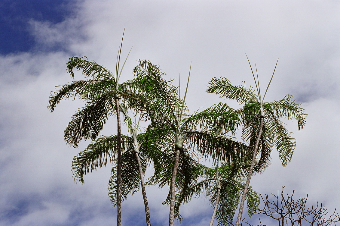 Madagascar, 2010