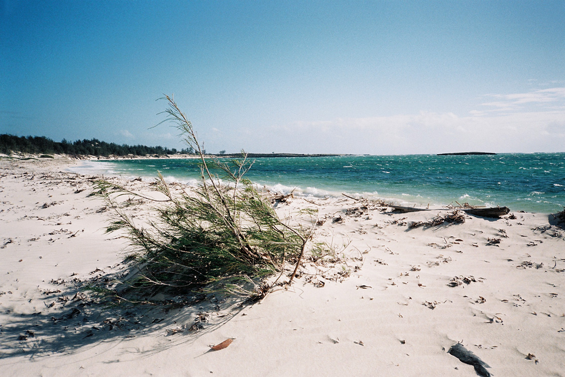 Madagascar, 2010