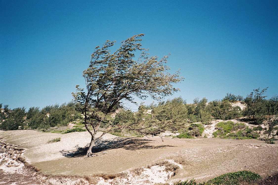 Madagascar, 2010