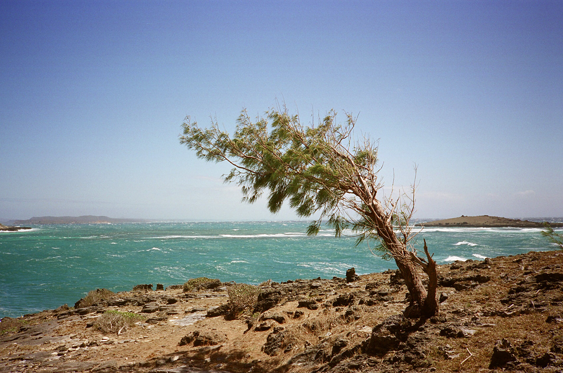Madagascar, 2010