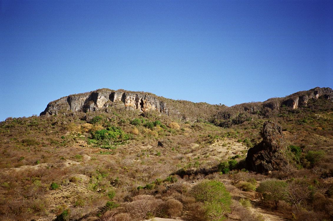 Madagascar, 2010