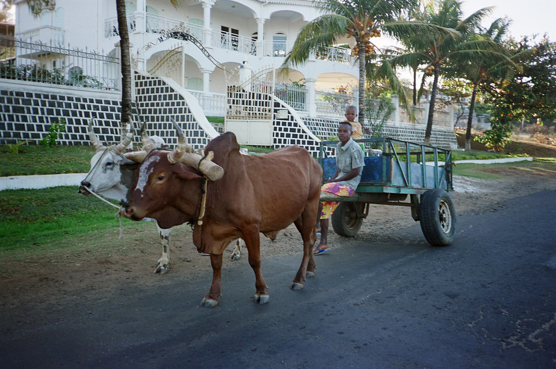 Madagascar, 2010