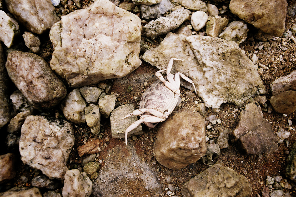 Azur, les Gl&eacute;nans, septembre 2011