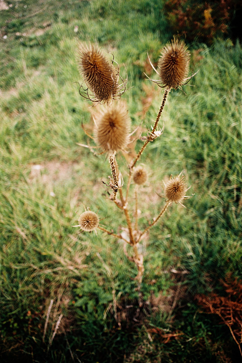 Azur, les Gl&eacute;nans, septembre 2011