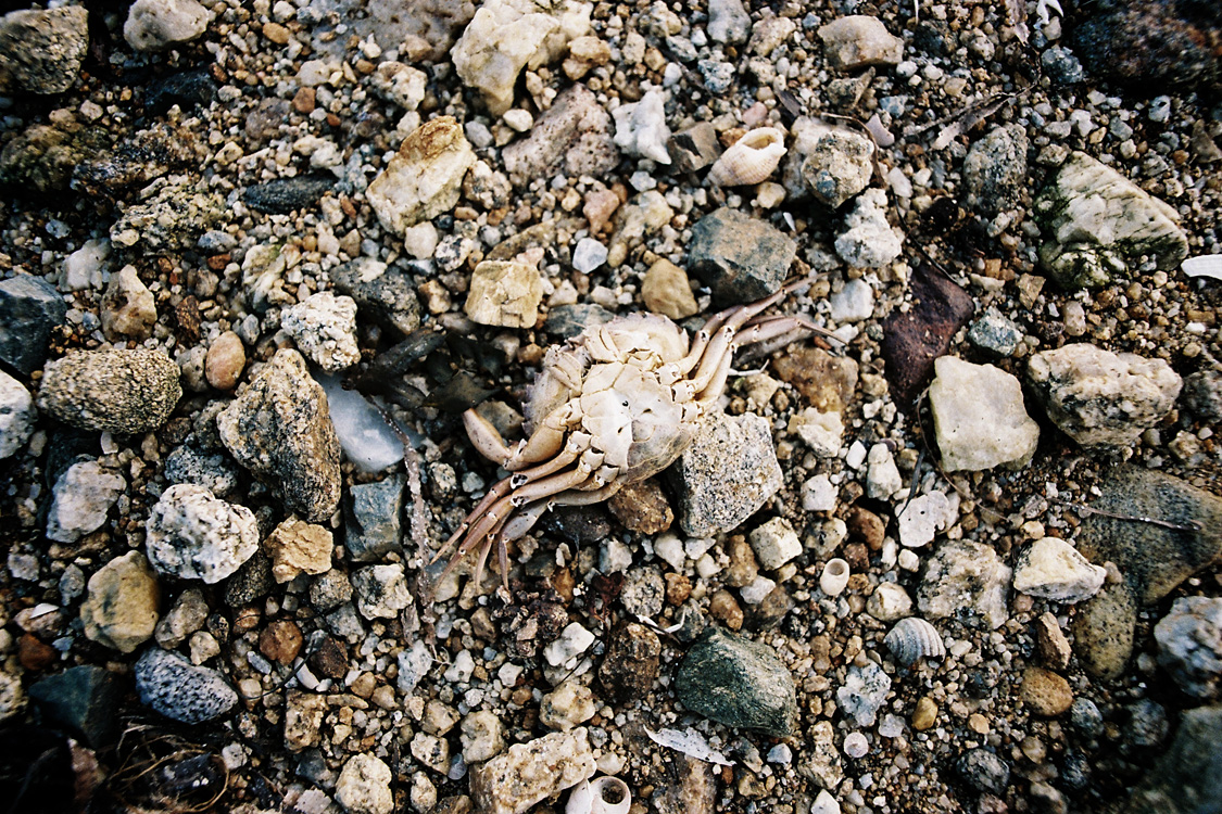 Azur, les Gl&eacute;nans, septembre 2011