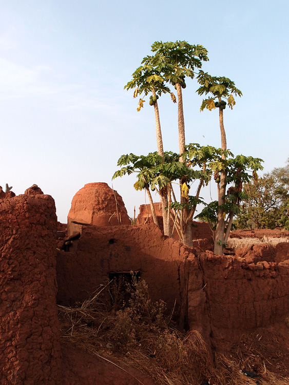 Village de Koumi