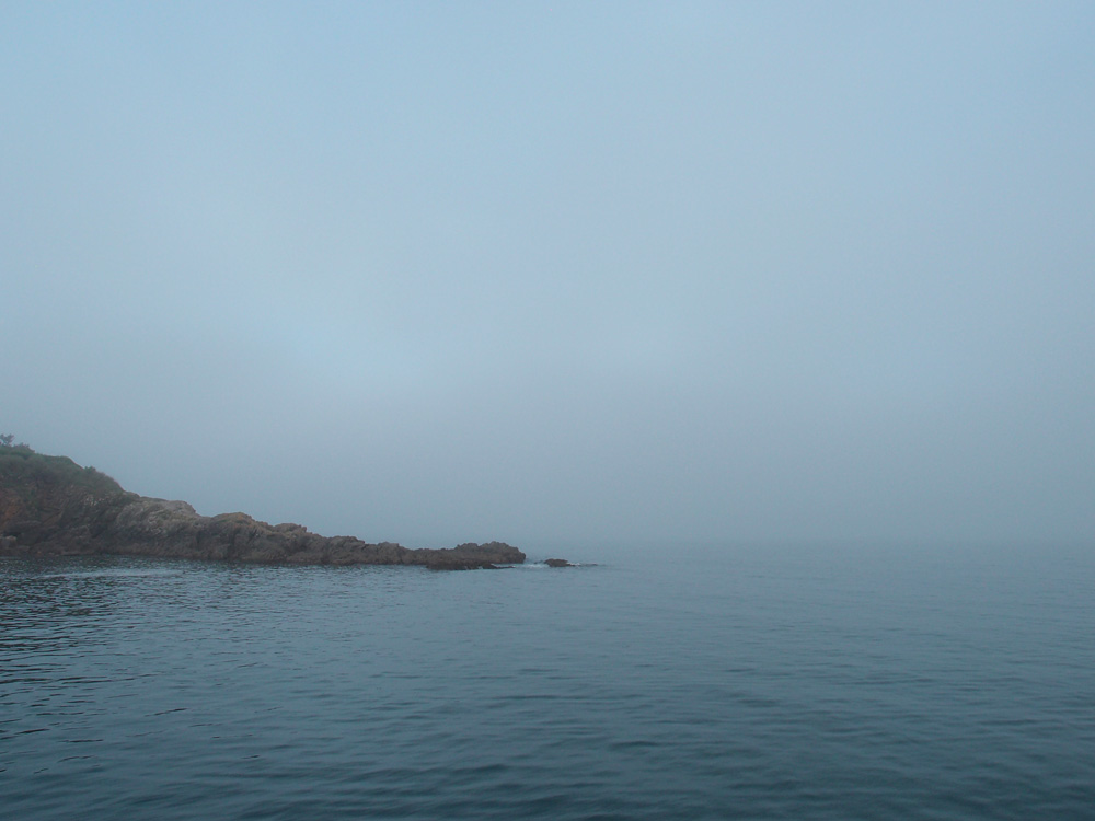 Ris&eacute;e, les Gl&eacute;nans, juin 2012