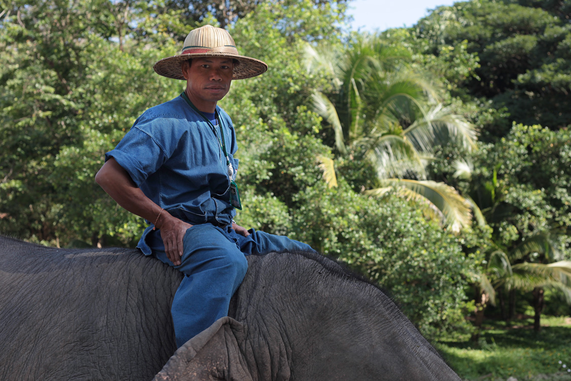 Thailand (and a bit of Laos), november 2013