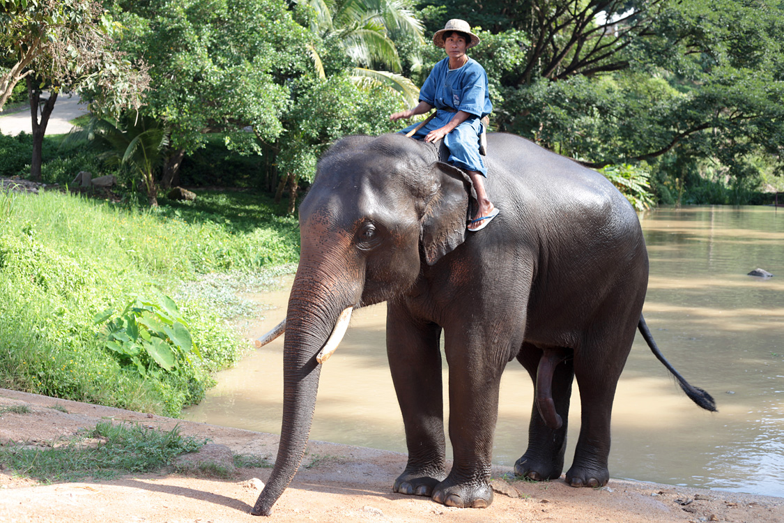 Thailand (and a bit of Laos), november 2013