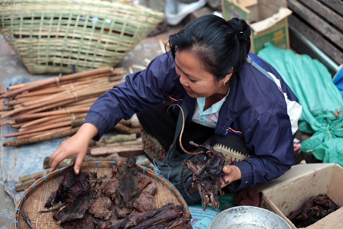 Thailand (and a bit of Laos), november 2013