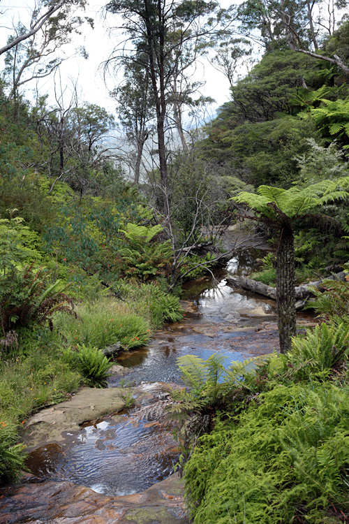 Australia, january 2015