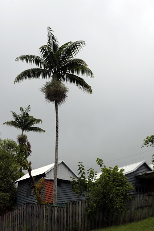 Australia, january 2015