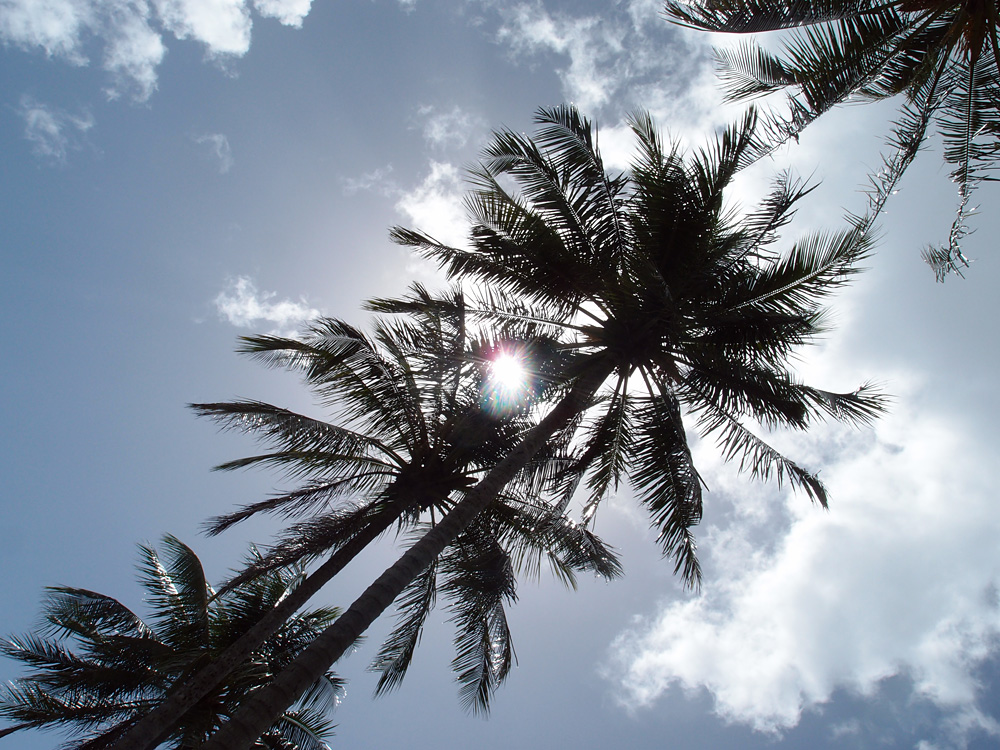 Australia, january 2015