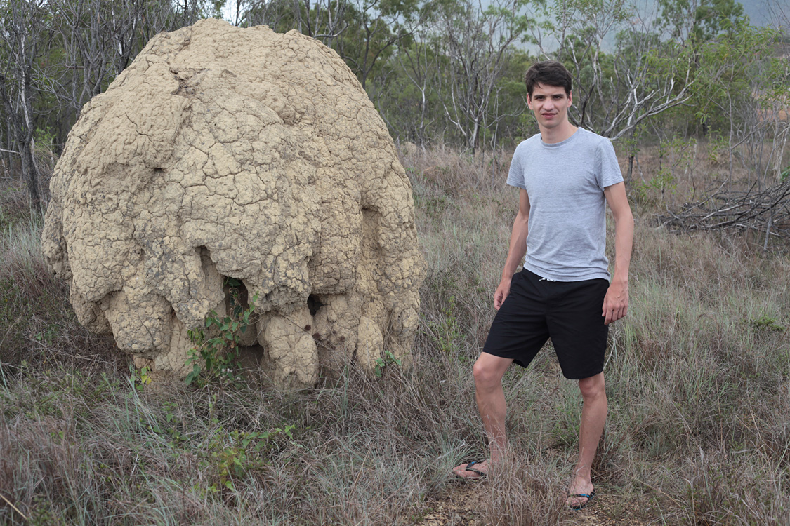 Australia, january 2015
