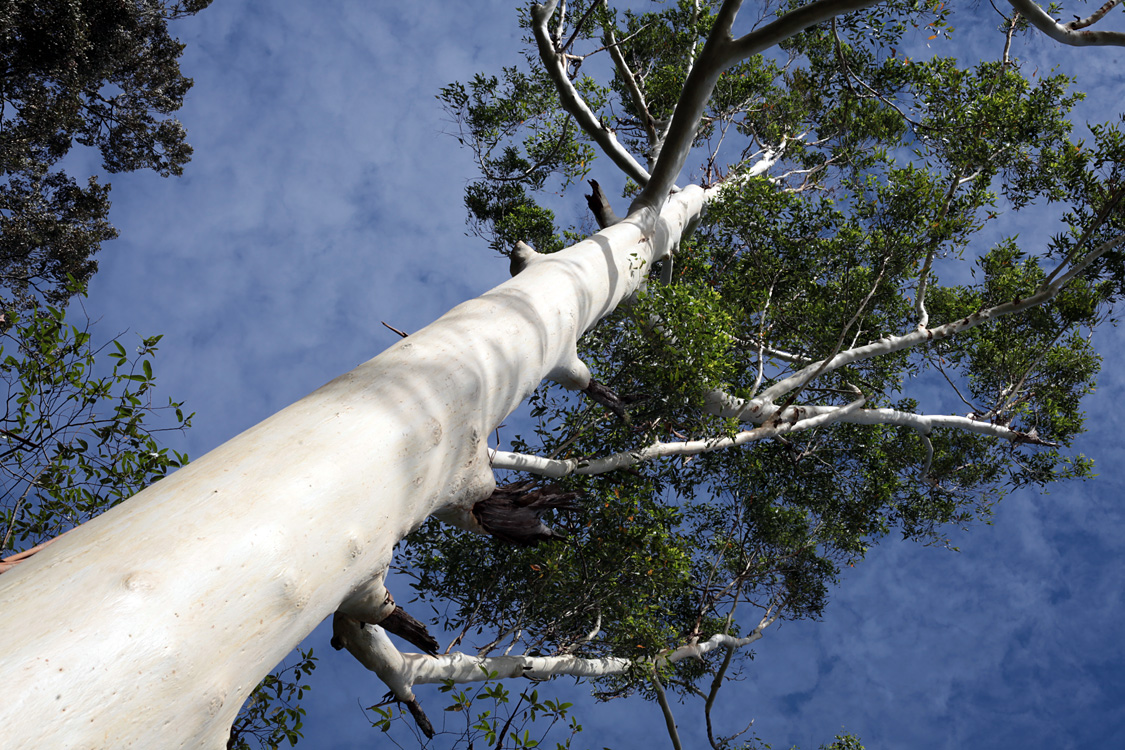 Australia, january 2015