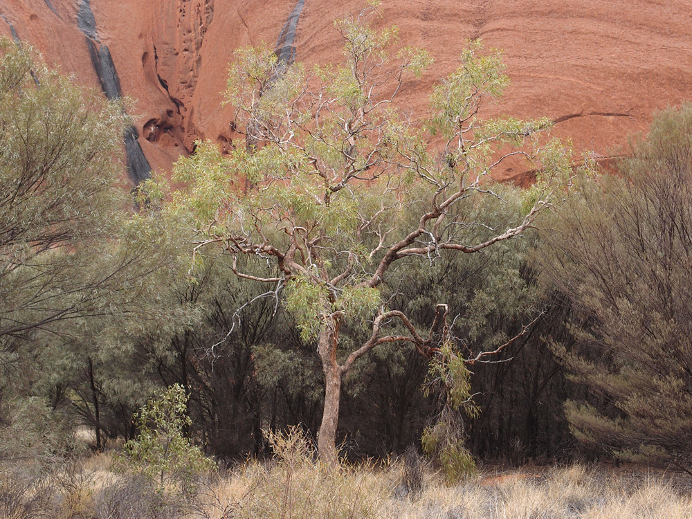Australia, january 2015