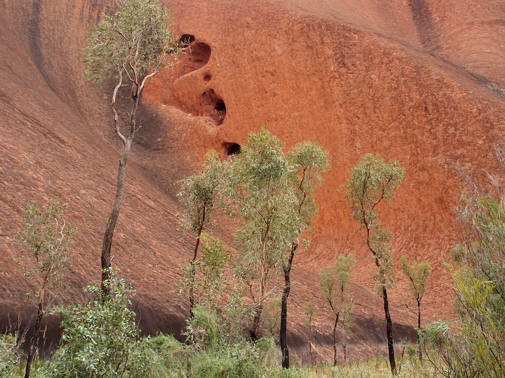 Australia, january 2015