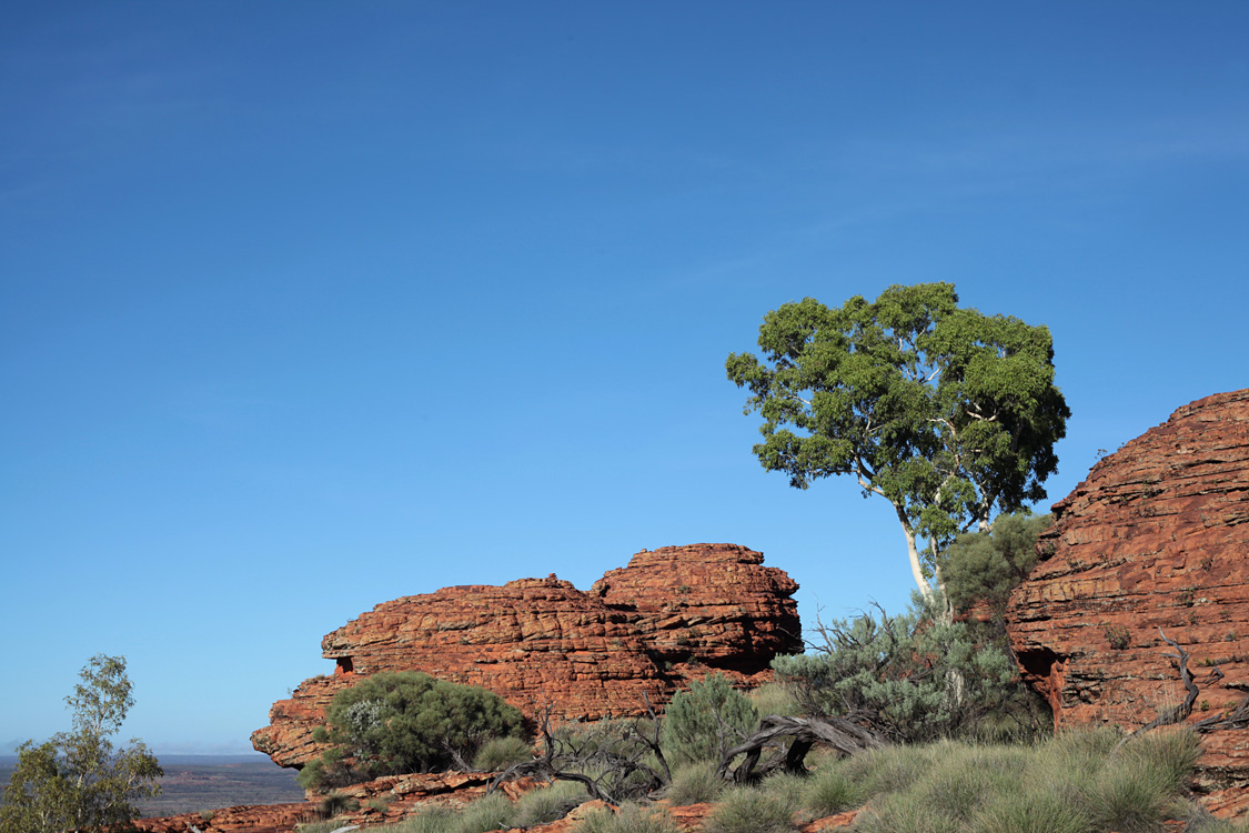 Australia, january 2015