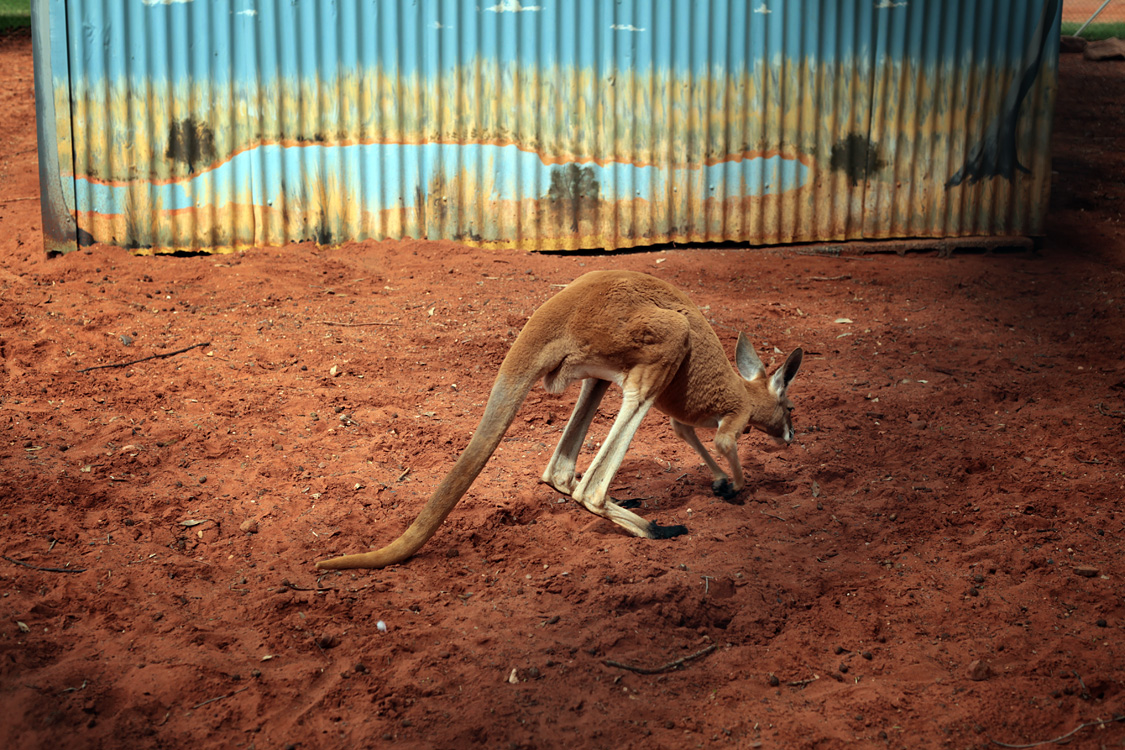 Australia, january 2015
