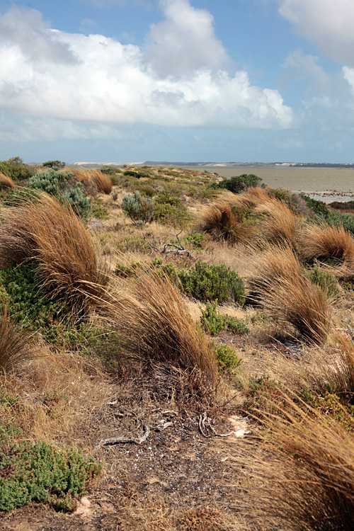 Australia, january 2015