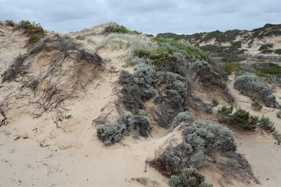 Australia, january 2015