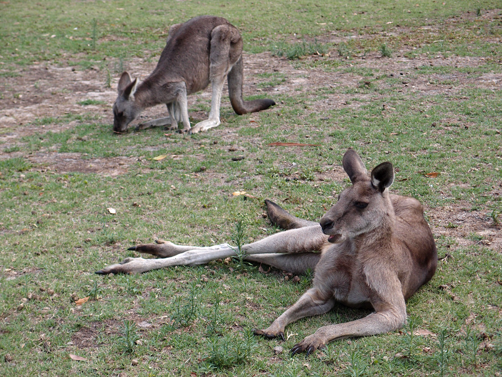 Australia, january 2015