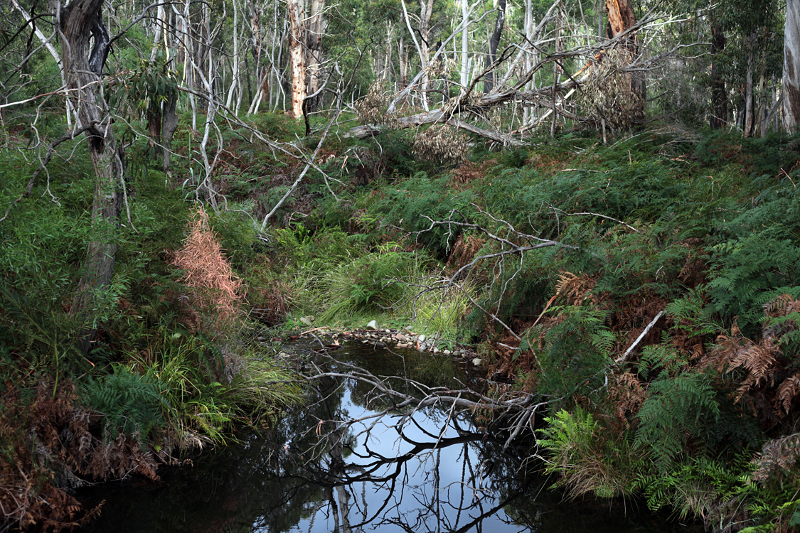 Australia, january 2015