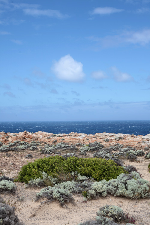 Australia, january 2015