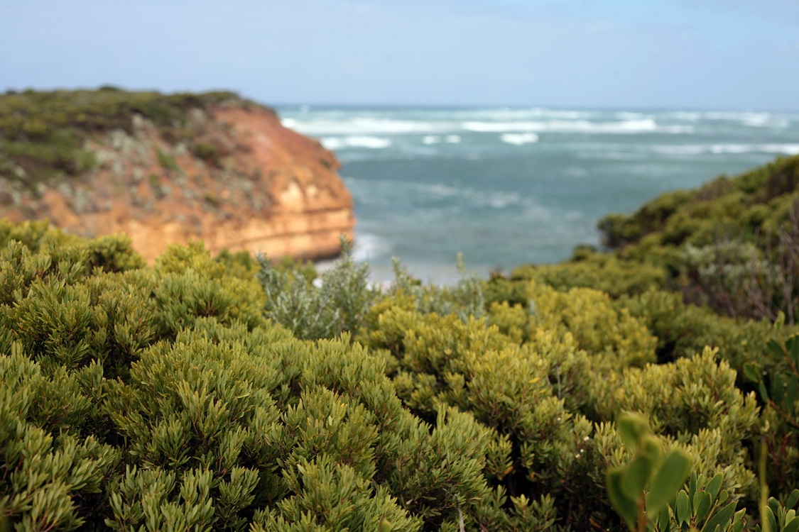 Australia, january 2015