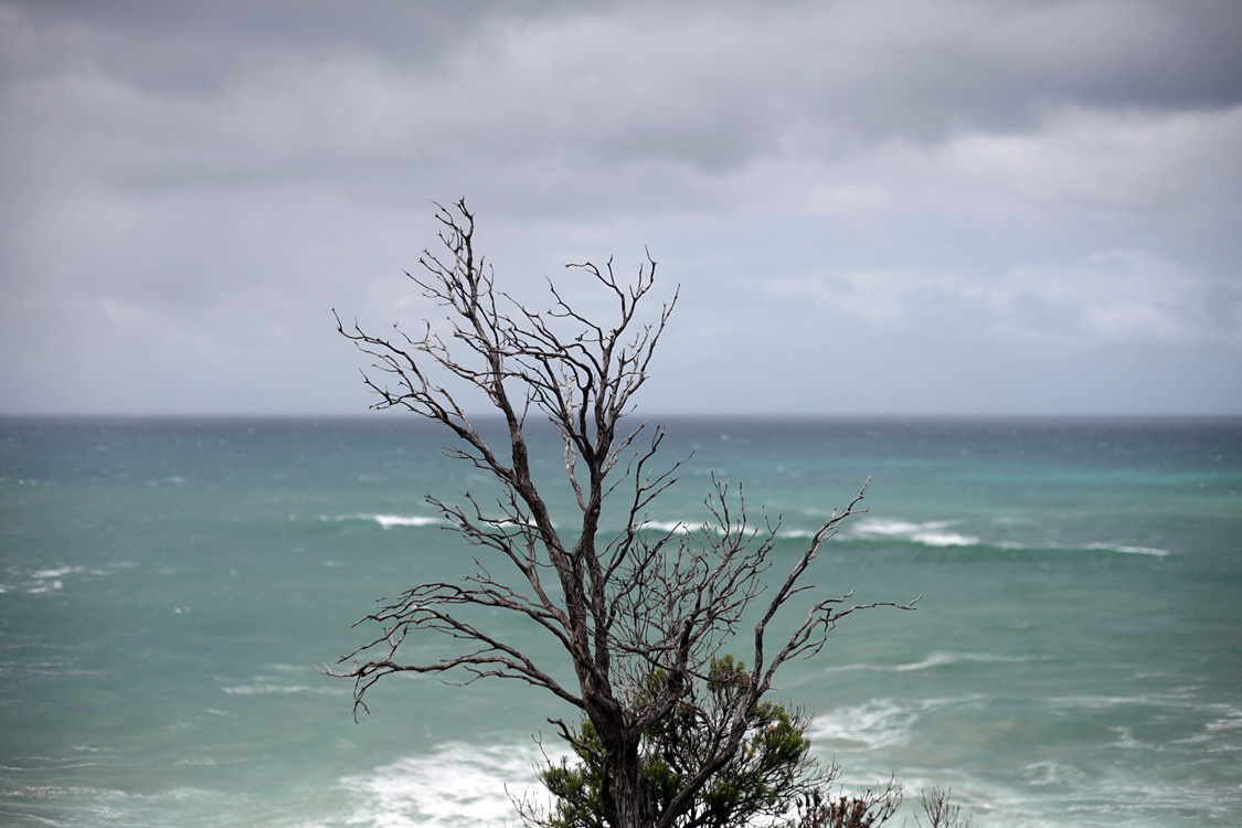 Australia, january 2015